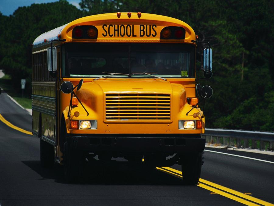  Thomas Saf-T-Liner FS-65 School Bus 1995 года  (фото 2 из 2)
